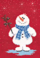 Snowguy