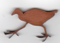 Pukeko Cutout