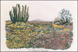 A Desert Spring