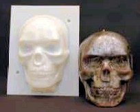 K413 Large Skull