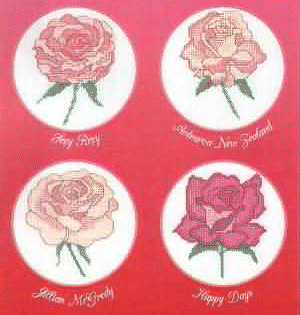 NZ Roses - Red