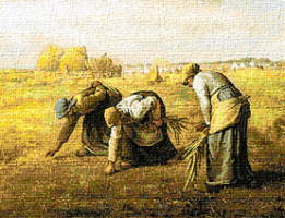 Krif # 279 - The Grain Reapers (Millet)
