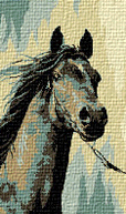 Krif # 426 - Head of Horse