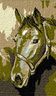 Krif # 427 - Head of Horse