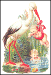 Stork Washing Babies - 16 pictures