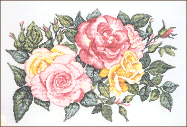 Rose Splendor