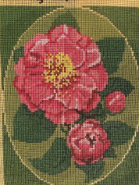 Camellias