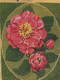 Camellias