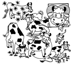 Hilarious Holsteins