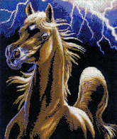 Storm Encounter