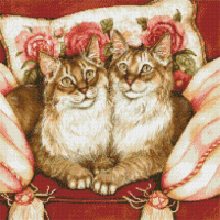 Feline Sisters