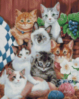 Cuddly Kittens