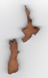 NZ Map Cutout