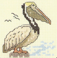 Pelican