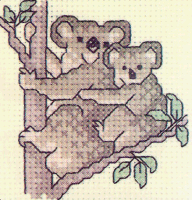 Koalas