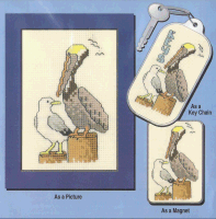 Pelican & Seagull