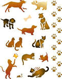 My Pets