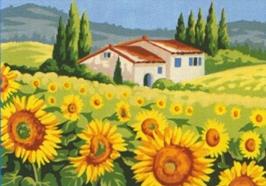 le champ de tournesols