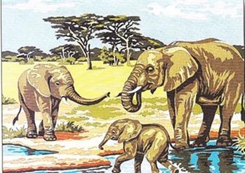SEG 926.177 Elephants au bain