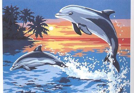 SEG Dancing Dolphins 926.87 width=