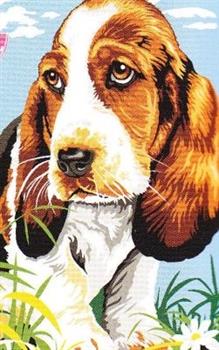 SEG 928.343 Basset