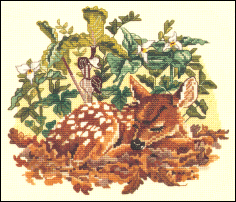 White Tailed Fawn