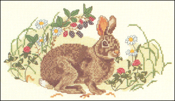 Eastern Cottontail