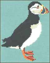Puffin Profile