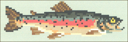 Rainbow Trout