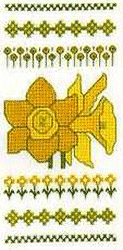 Daffodils