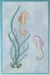Seahorses
