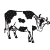 Classic Cow