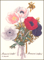 June Griggs, Jeanettte Crewes 29731 Redoute's Anemone