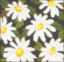 Daisies