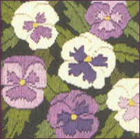 Pansies