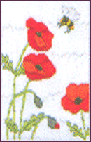 Poppies