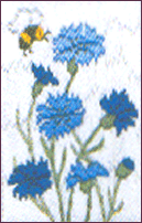 Cornflowers