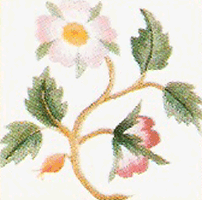 Briar Rose
