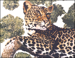 Lazy Leopard