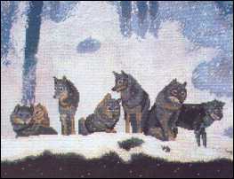 The Pack