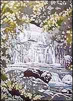 Purekanui Falls