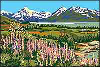 Pukaki Lupins