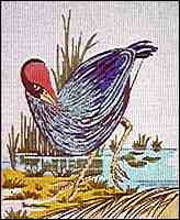 Pukeko