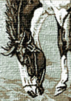 Krif # 598 - One Man Rodeo (Detail)
