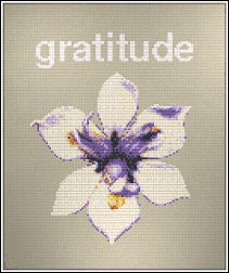 Gratitude