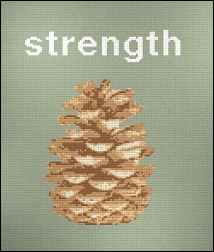 Strength