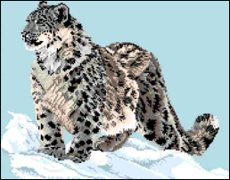 Snow Leopard