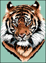 Bengal Tiger