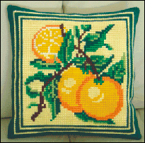 Oranges Cushion Kit