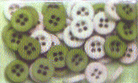 Green Two Tone Buttons